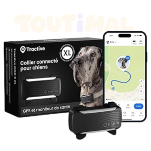 Collier GPS Chien Connecté Grand Chien XL