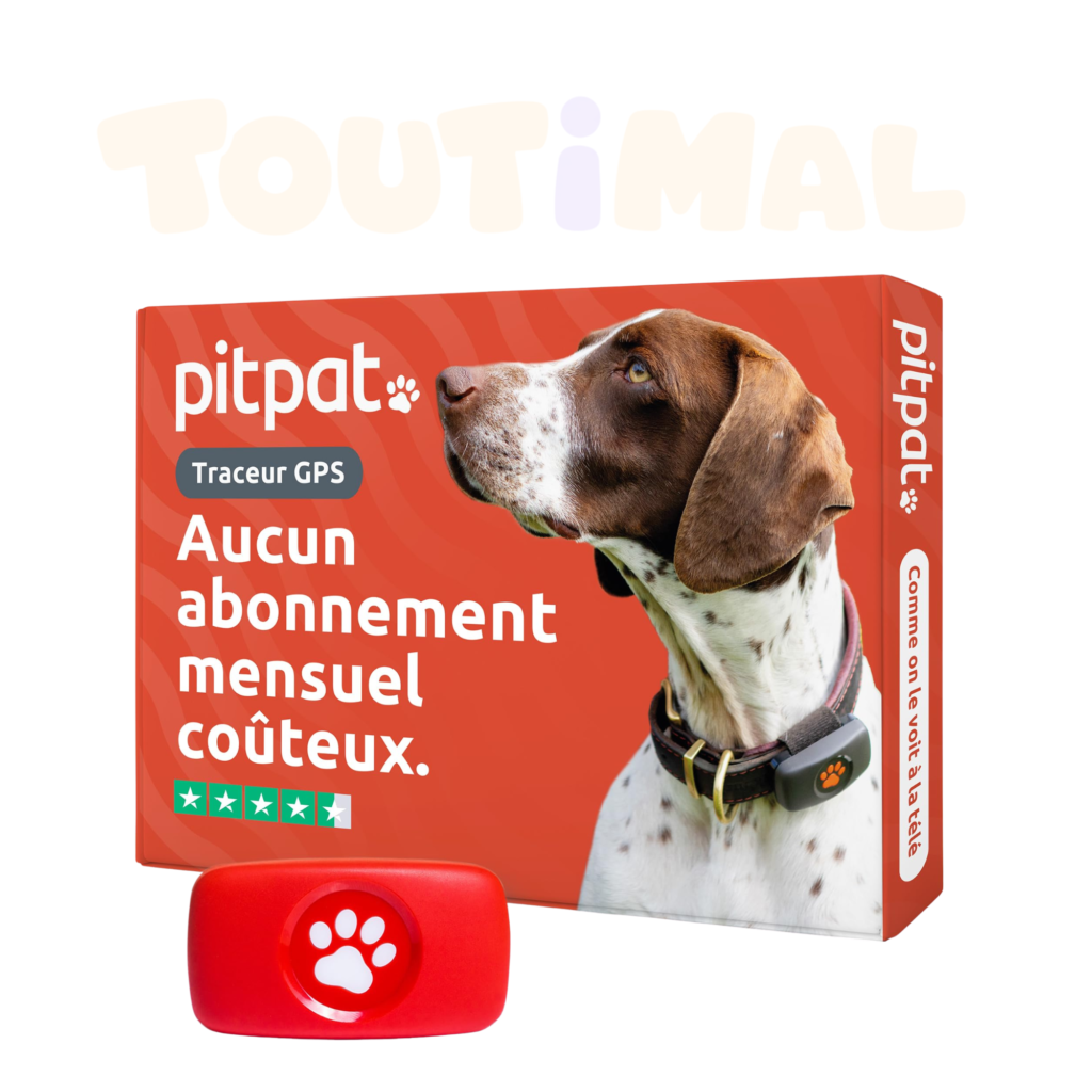 Collier GPS pour chien sans abonnement PitPat